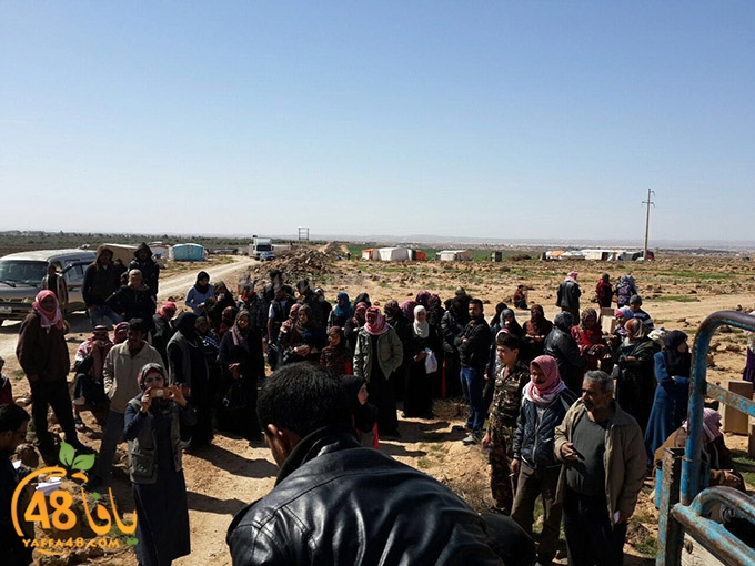 syrian torod (1).jpg